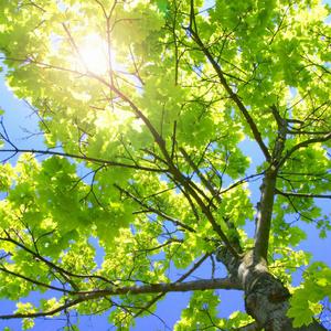 一区二区在线一区二区在线
